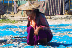 Myanmar, Ngapali Beach, Fische liegen zum Trocknen aus