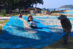 Myanmar, Ngapali Beach, Fische liegen zum Trocknen aus