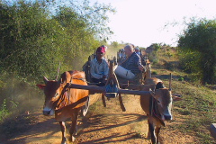 Myanmar, Wir fahren mit dem Ochsenkarren nach Sri Ksetra