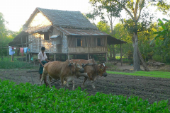 Myanmar, Sri Ksetra, Besuch eines Dorfes