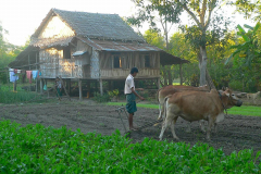 Myanmar, Sri Ksetra, Besuch eines Dorfes