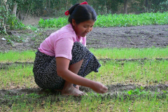 Myanmar, Sri Ksetra, Besuch eines Dorfes