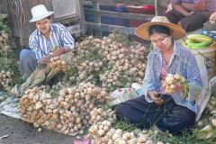 Myanmar, Region Yangon, Markt