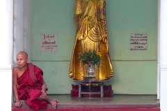Myanmar, Yangon, Shwedagon Pagode