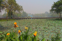 Myanmar, Yangon, Blick vom Kandawgyi Palace Hotel über den Königlichen See