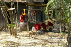 Myanmar, Yangon