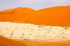 Namibia, Sossusvlei, Abgestorbene Akazienbäume im Deadvlei