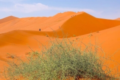 Namibia, Sossusvlei