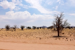 Namibia, Namib Naukluft Nationalpark