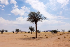 Namibia, Namib Naukluft Nationalpark