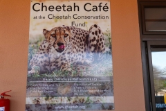 Namibia, Otjiwarongo, Cheetah Conservation Fund