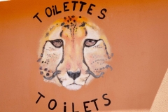 Namibia, Otjiwarongo, Cheetah Conservation Fund