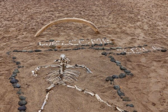 Namibia-Skelettküste