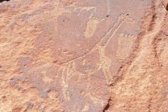 Namibia-Damaraland-Twyfelfontein-Felszeichnungen