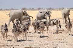 Namibia, Etosha Nationalpark