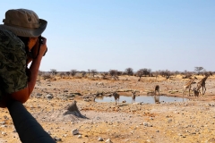 Namibia, Etosha Nationalpark