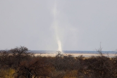 Namibia, Etosha Nationalpark, Windhose
