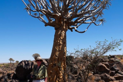 Namibia, Keetmanshoop, Köcherbaumwald