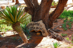 Namibia, Kalahari Wüste, Bitterwasser Lodge