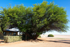 Namibia, Kalahari Wüste, Bitterwasser Lodge