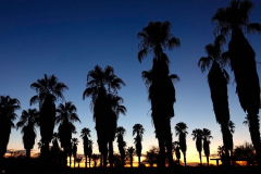 Namibia, Kalahari Wüste, Bitterwasser Lodge, Abendstimmung