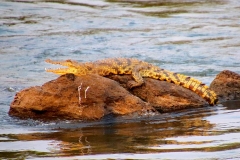 Namibia, Okavango Fluss