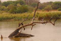 Namibia, Okavango Fluss