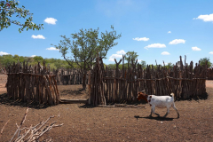Namibia-Omapaha-Himba-Dorf