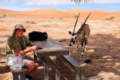 Namibia, Sossusvlei, Oryx am Picknicktisch