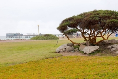 Namibia, Swakopmund, Blick auf die Jetty Landungsbrücke