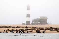 Namibia-Walvis-Bay-Pelican-Point-Leuchtturm