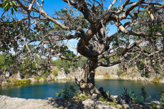 Namibia-Otjikoto-See
