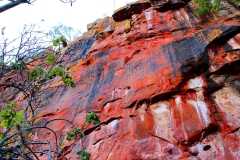 Namibia, Waterberg Plateau