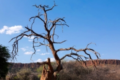 Namibia, Waterberg Plateau