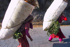 Nepal, Begegnungen unterwegs nach Bungamati, Lastenträgerinnen