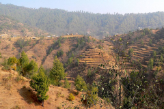 Nepal, Unterwegs nach Bungamati, Terrassenfelder