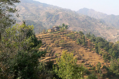 Nepal, Unterwegs nach Bungamati, Terrassenfelder