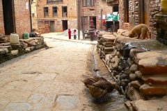 Nepal, Khokana Bungamati