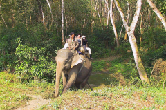 Nepal, Safari mit Elefanten im Chitwan-Nationalpark