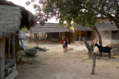 Nepal, Chitwan-Nationalpark, Tharu Dorf