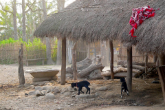 Nepal, Chitwan-Nationalpark, Tharu Dorf