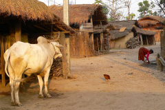 Nepal, Chitwan-Nationalpark, Tharu Dorf