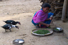 Nepal, Chitwan-Nationalpark, Tharu Dorf