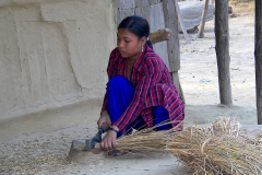 Nepal, Chitwan-Nationalpark, Tharu Dorf