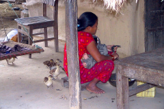 Nepal, Chitwan-Nationalpark, Tharu Dorf