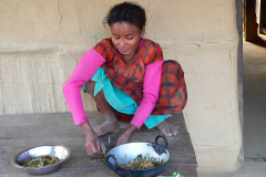 Nepal, Chitwan-Nationalpark, Tharu Dorf