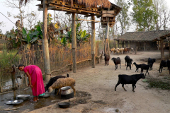 Nepal, Chitwan-Nationalpark, Tharu Dorf