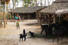 Nepal, Chitwan-Nationalpark, Tharu Dorf