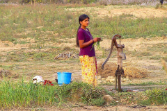 Nepal, Chitwan-Nationalpark, Tharu Dorf