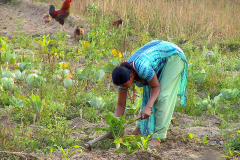 Nepal, Chitwan-Nationalpark, Tharu Dorf